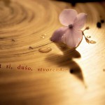 0001328106_l_0_jtxedw