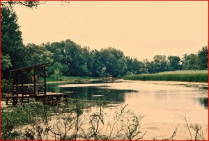 10830438_10202072870381971_5360610826174122655_o