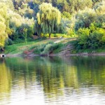 13957648_10209347506952027_703414394_n