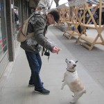 1482_2013030216520612