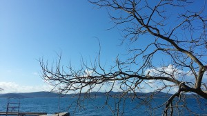 20150131_112156 (1) (1)