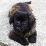 400006_3118959297964_1383983995_33379406_1056882336_n