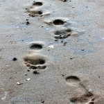 5d6c306bb7899f111d63ee7d679c018d