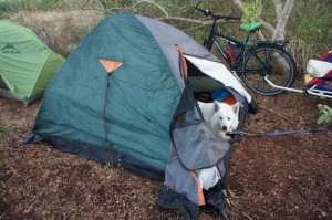 Cancun-Ciudaddelcarmen 095-001