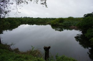 road trip & to Guatemala 066 (1)-001