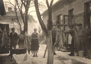tradicionalno-kolinje